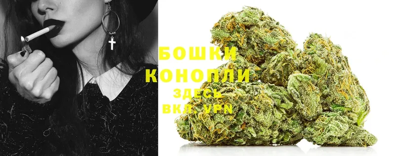 Бошки марихуана SATIVA & INDICA  блэк спрут ссылка  Курчатов 